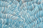 Sand Dunes